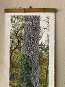 Birch Trunk #1-6