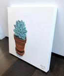 Echeveria-6