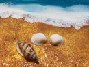 Beach Day-8
