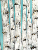White Birches-8