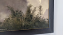 Karst & Ferns-7