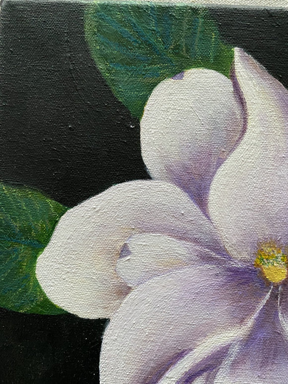 Magnolia Study I