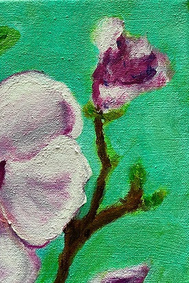 Magnolia Study II