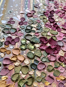 Symphony of Color-7