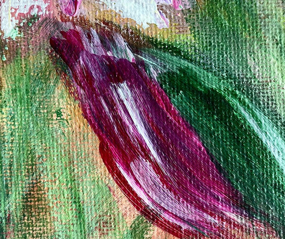In the Garden