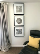"The Circle of Life"-8