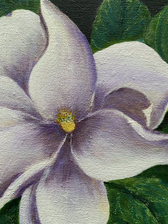 Magnolia Study I
