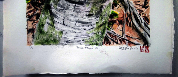 Birch Trunk #1