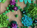 3D succulents-9