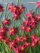 Whimsical floral beachscape-10