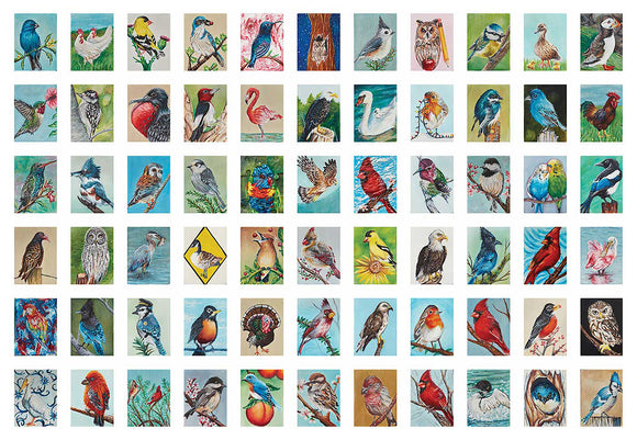 Birds of North America