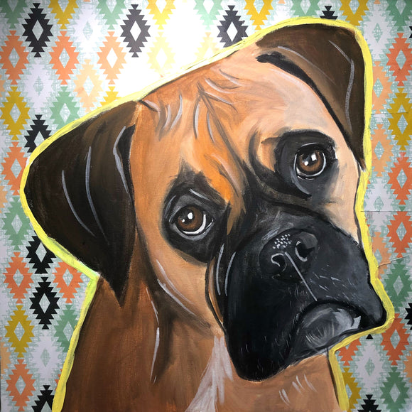Boxer