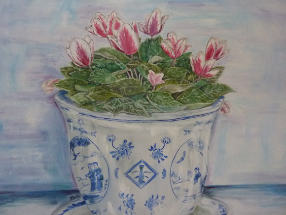 Cyclamen