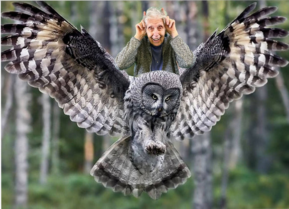 Dorothy Rides the Great Grey Owl