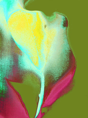 Tulip II (2019 series)