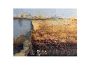 White Rust III-2