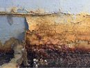 White Rust III-1