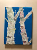 Rainbow Birch-3