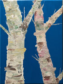 Rainbow Birch-1