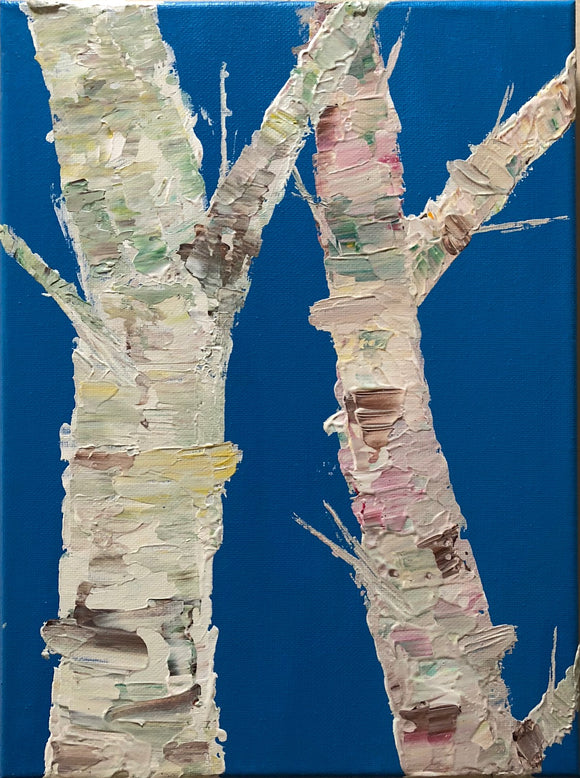 Rainbow Birch