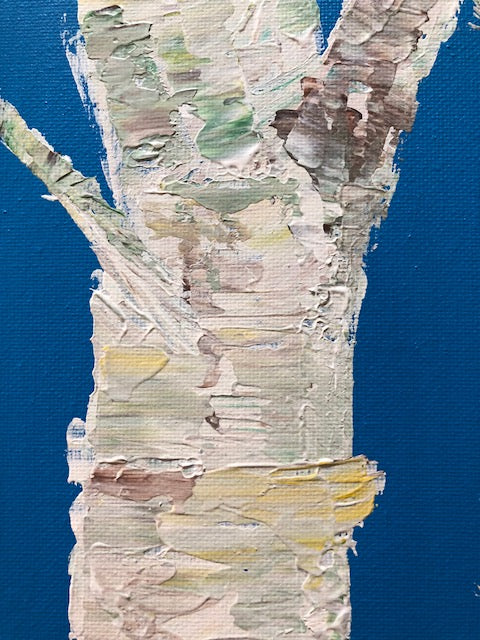 Rainbow Birch