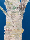Rainbow Birch-2