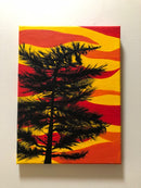 Ancient Pine-2