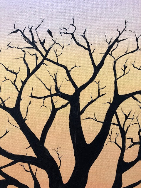 Sleeping Oak