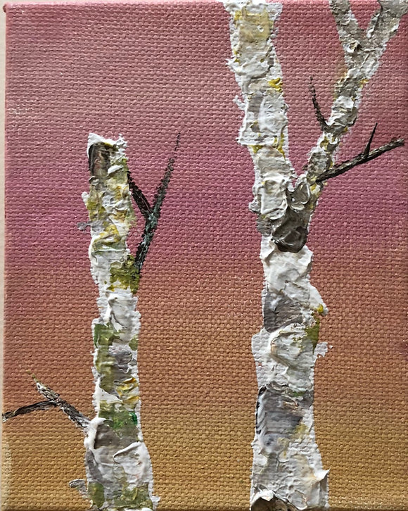 Mini Sunset Birch