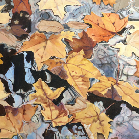 A Leaf's Journey