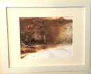 White Rust IV-2