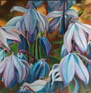 Scilla-1