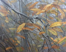Life of a Leaf-1