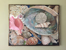 Sea Shell Symphony-2