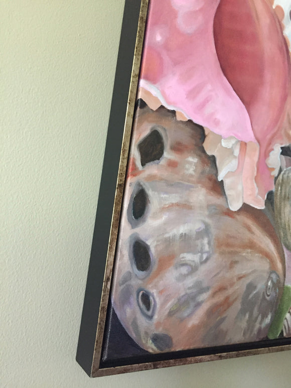 Sea Shell Symphony