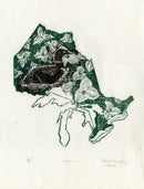 Ontario-1