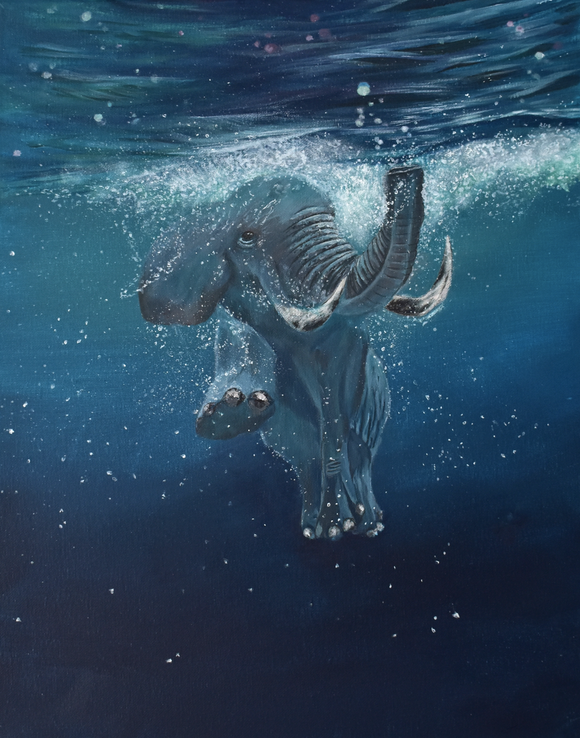 Out for a Swim