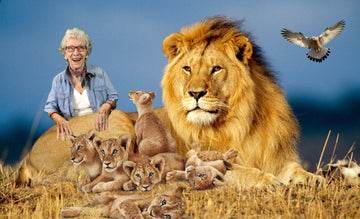 Pat Meets the Cubs on Safari