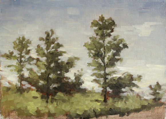 Summer Trees