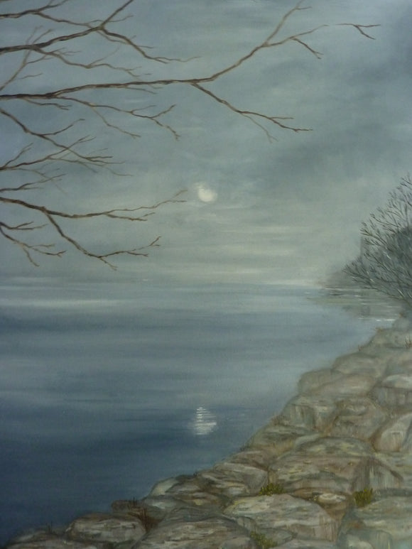 The Lake, January