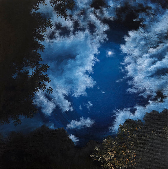 Night of the lake 2