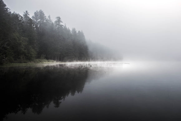 Morning Reflection