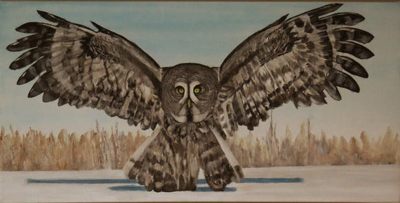 Great Snowy Owl