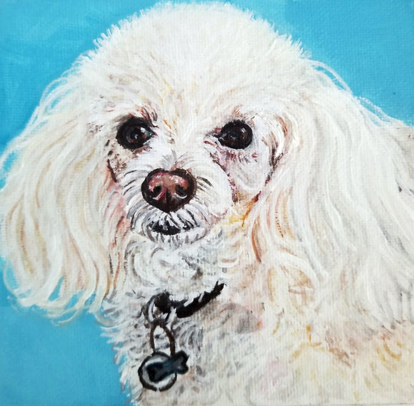 Pet Painting