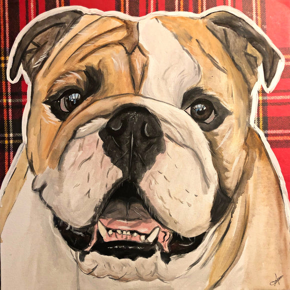 Bulldog