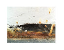 White Rust I-2