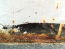 White Rust I-1