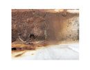 White Rust IV-2