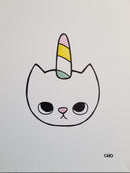 Unicat-1